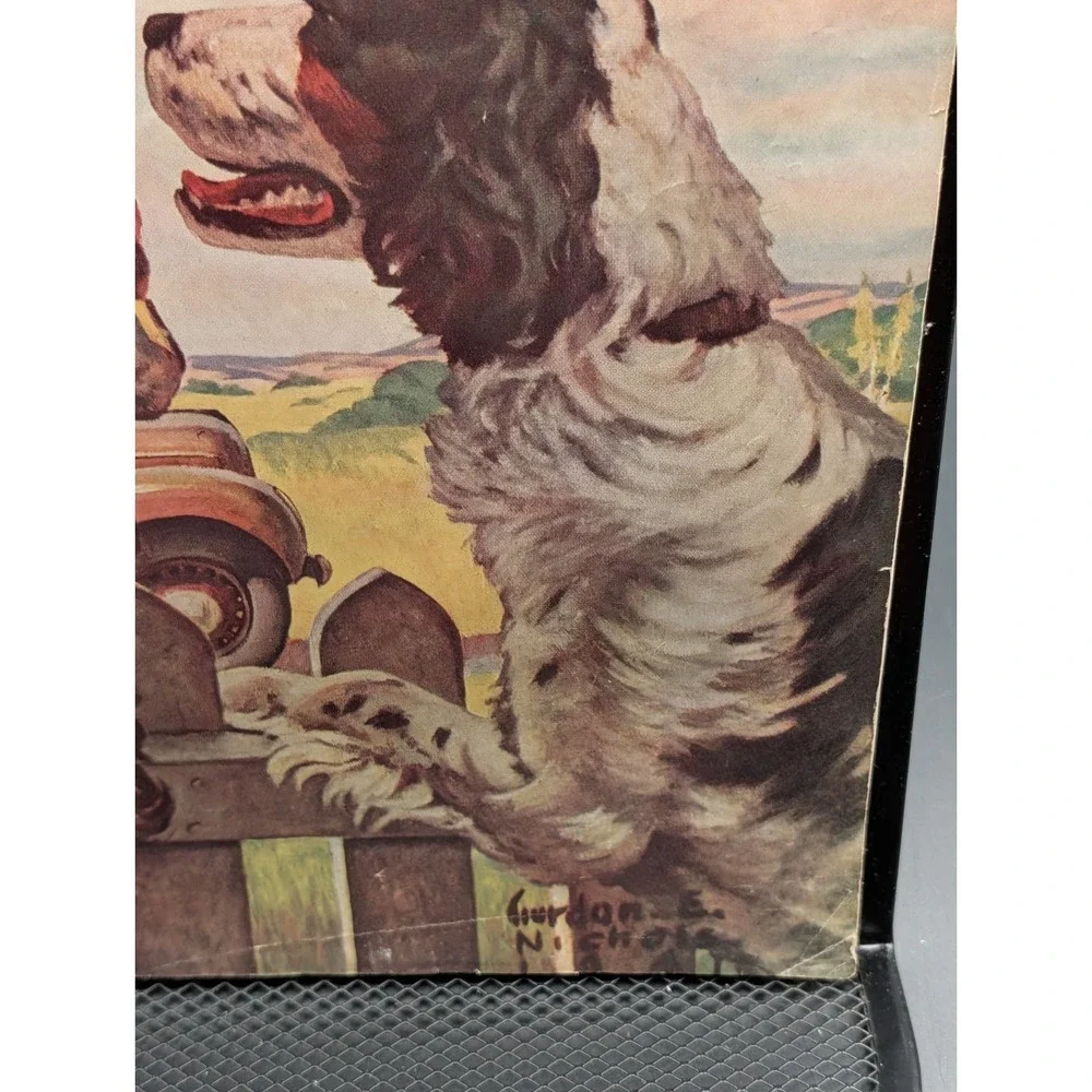 Vintage National Sportsman Magazine July 1941 Hunting Fishing Outdoor Dogs Cover